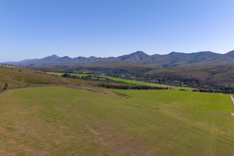 0 Bedroom Property for Sale in Kareedouw Eastern Cape